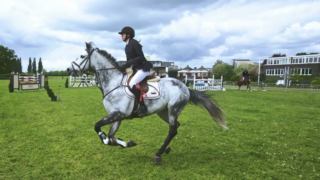 Univers Équestre : Votre destination pour l'équipement et les accessoires d'équitation